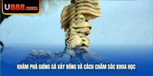 Khám Phá Giống Gà Vảy Rồng Và Cách Chăm Sóc Khoa Học